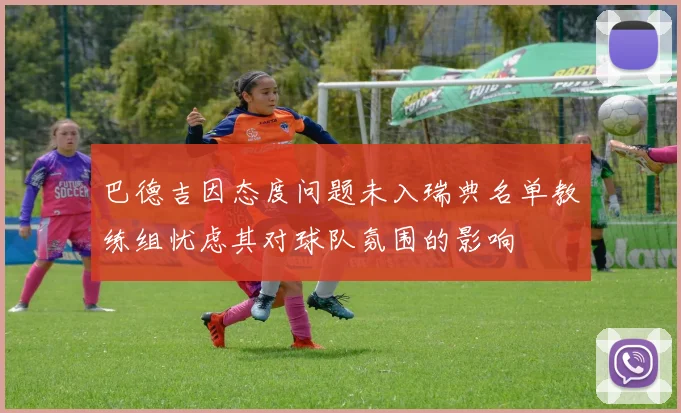 巴德吉因态度问题未入瑞典名单教练组忧虑其对球队氛围的影响