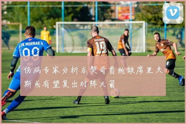 伤病专家分析东契奇首轮缺席里夫斯或有望复出对阵火箭