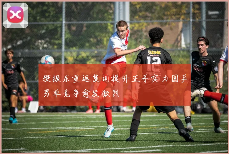 樊振东重返集训提升正手实力国乒男单竞争愈发激烈